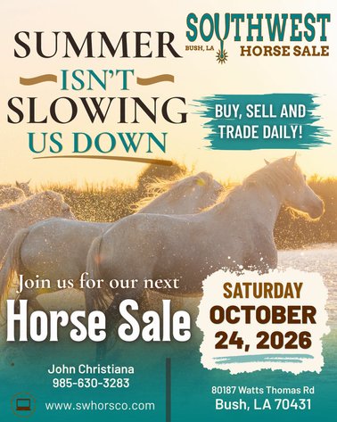Image for Southwest Horse Sale Fall Catalog Sale - SATURDAY OCTOBER 24TH - Bush, LA