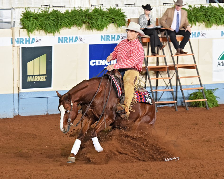 Image for Southwest Horse Sale Fall Catalog Sale - SATURDAY OCTOBER 24TH - Bush, LA
