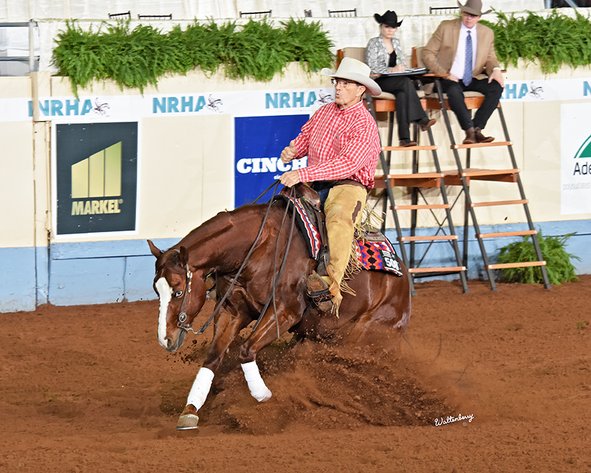 Image for Southwest Horse Sale Fall Catalog Sale - SATURDAY OCTOBER 24TH - Bush, LA