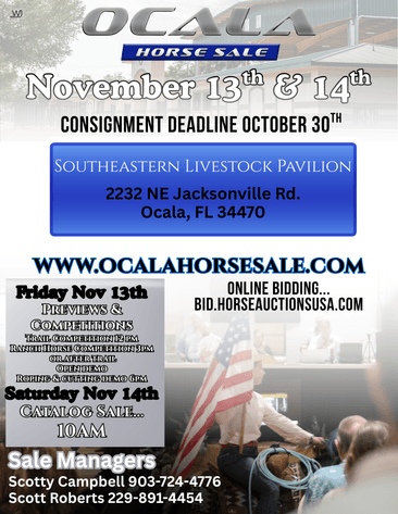 Image for Ocala Horse Sale - Saturday, November 14th - Ocala, Florida