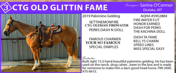 Image for Bowman Livestock Fall Catalog Sale - THURSDAY, OCTOBER 1ST - Bowman, ND