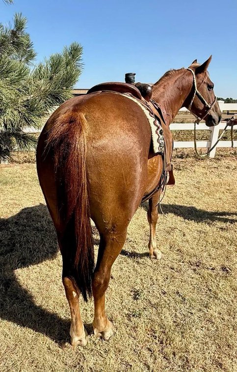 Short Stack