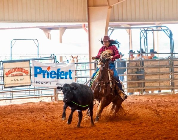 Image for Southern States Fall Catalog & Production Sale - SATURDAY, OCTOBER 3RD - Carthage, MS