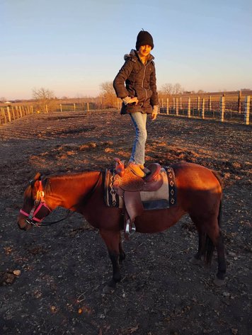 Image for Storm Horse Auction SATURDAY, October 3rd - Gowrie, Iowa