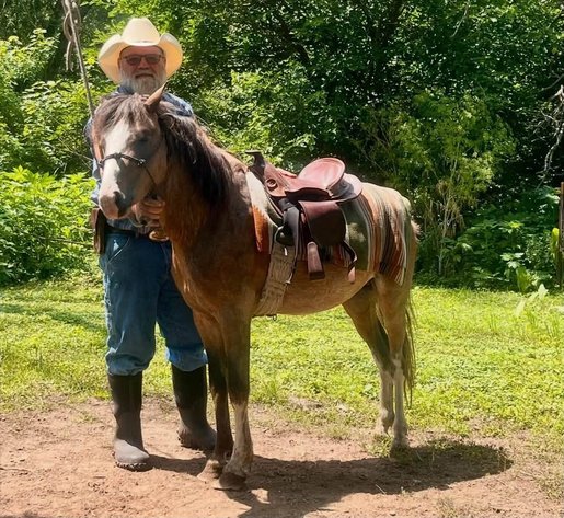 Image for Storm Horse Auction SATURDAY, October 3rd - Gowrie, Iowa