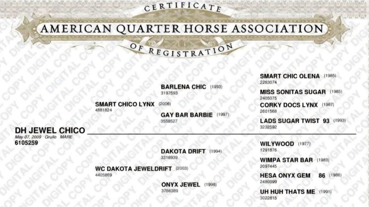 Image for Creston Horse Sale  - SATURDAY, OCTOBER 10TH - Creston, Iowa