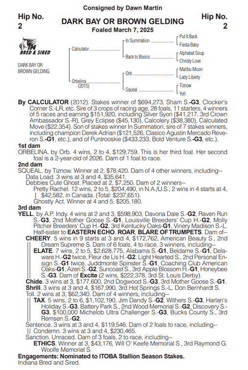 Image for ITOBA & QHRAI Inaugural Yearling & Mixed Sale - SATURDAY OCTOBER 17TH - Edinburgh, Indiana