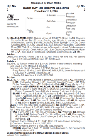 Image for ITOBA & QHRAI Inaugural Yearling & Mixed Sale - SATURDAY OCTOBER 17TH - Edinburgh, Indiana