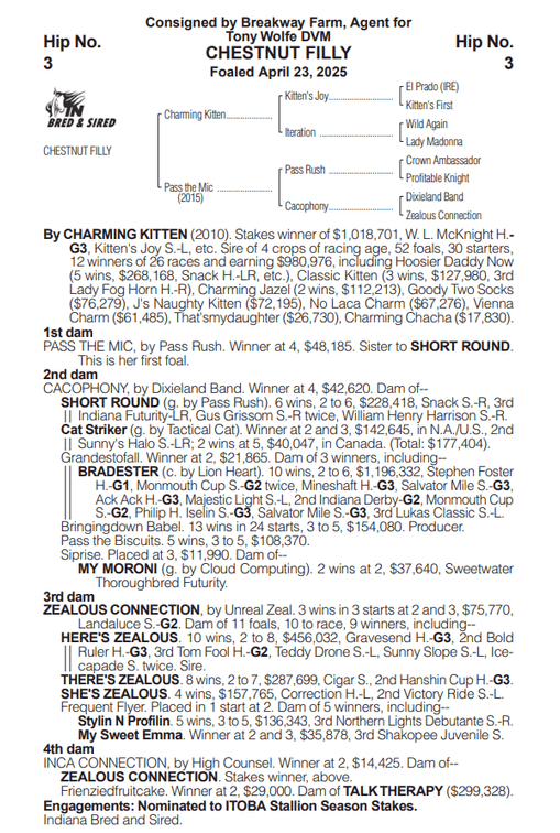 Image for ITOBA & QHRAI Inaugural Yearling & Mixed Sale - SATURDAY OCTOBER 17TH - Edinburgh, Indiana