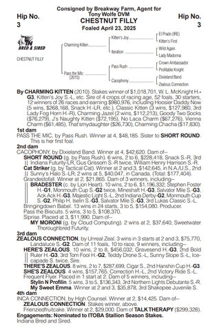 Image for ITOBA & QHRAI Inaugural Yearling & Mixed Sale - SATURDAY OCTOBER 17TH - Edinburgh, Indiana