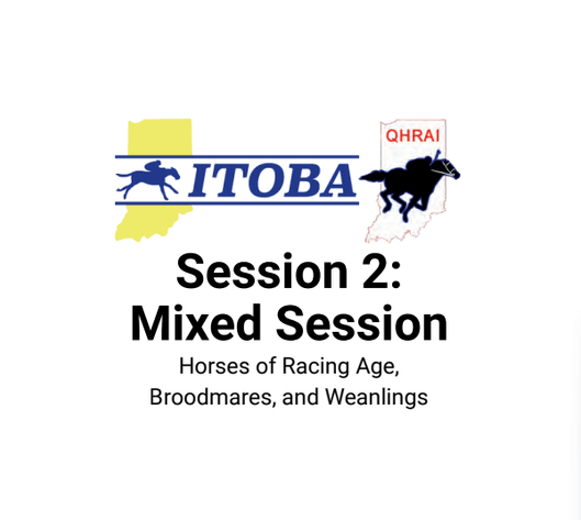 Image for ITOBA & QHRAI Inaugural Yearling & Mixed Sale - SATURDAY OCTOBER 17TH - Edinburgh, Indiana