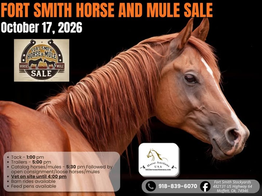 Image for Fort Smith Horse & Mule Sale - SATURDAY, OCTOBER 17TH - Moffett, Oklahoma