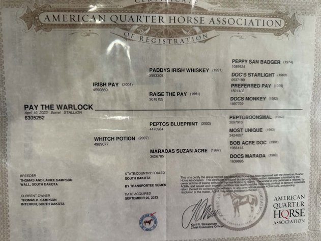 Image for Reno County Stockyards Horse Sale WEDNESDAY, OCTOBER 14TH - South Hutchinson, KS