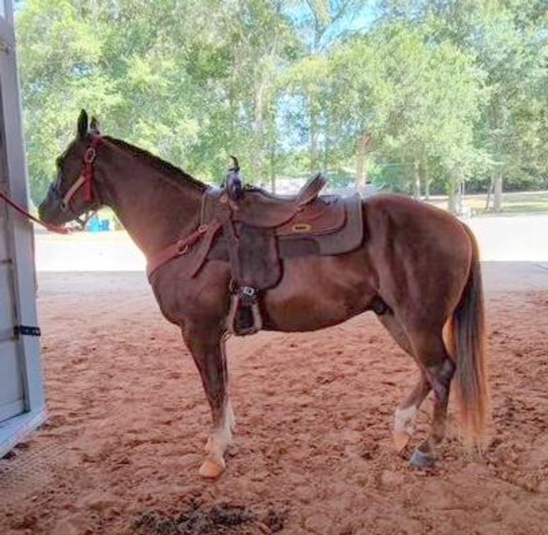 John  VIDEO