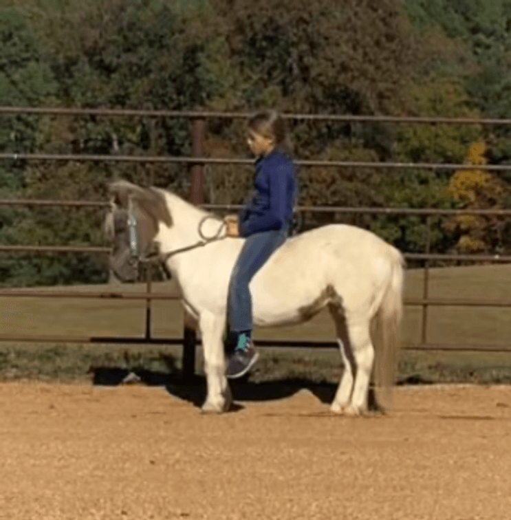 Silver  VIDEO