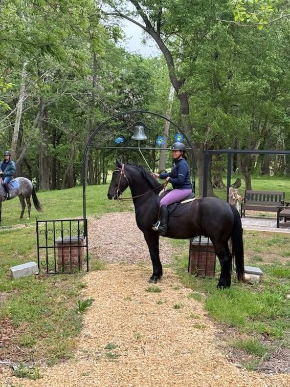 Image for The Patriot Horse Sale Saturday October 24,2026
