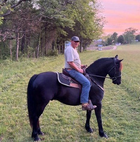 Image for The Patriot Horse Sale Saturday October 24,2026