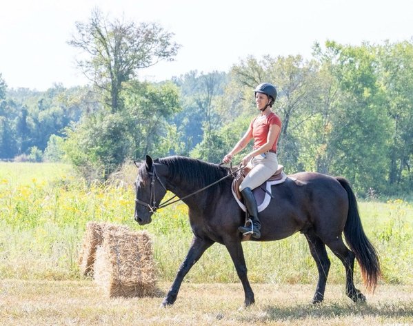 Image for The Patriot Horse Sale Saturday October 24,2026
