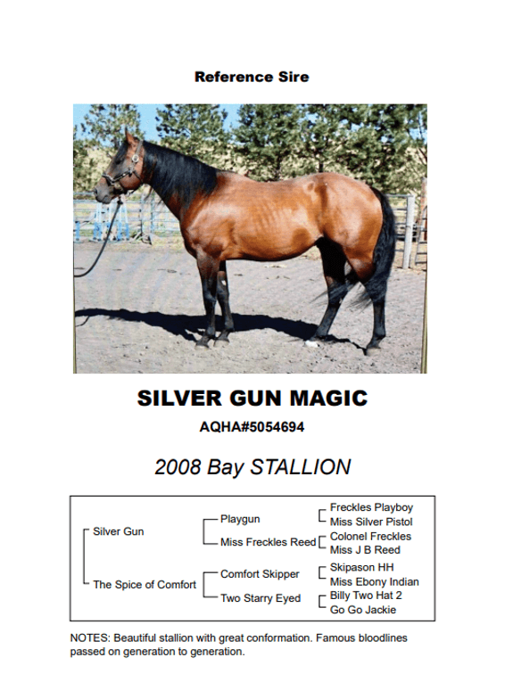 Image for Corbridge Quarter Horses Annual Production Sale - ONLINE ONLY!!!  Runs September 27th through October 6th!