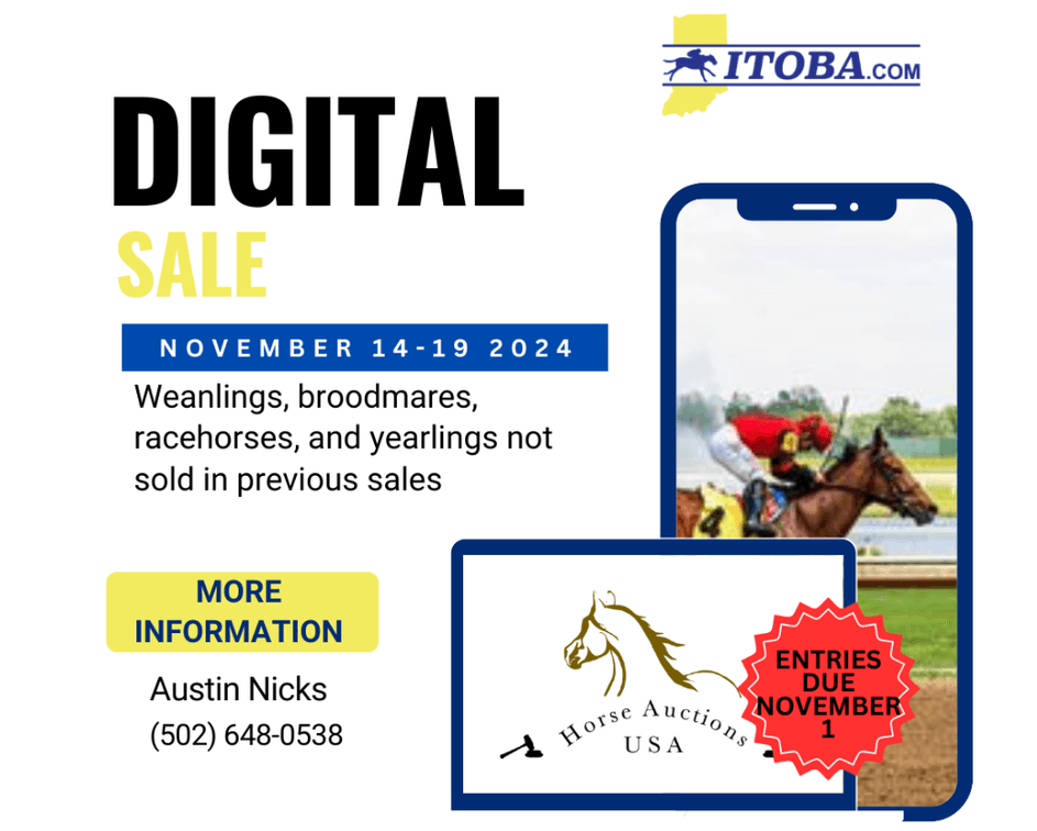 Image for ITOBA Fall Mixed DIGITAL SALE - ENTIRELY ONLINE! November 14th-19th