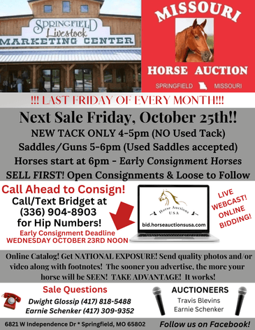Image for Missouri Horse Auction FRIDAY OCTOBER 25TH - Springfield, MO