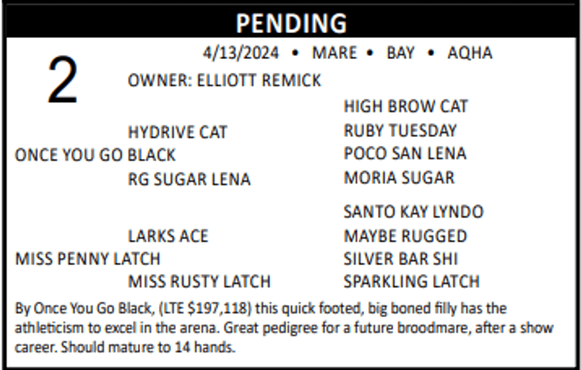 Image for Lolli Livestock Inc. Catalog Horse Sale - DAY ONE - FRIDAY, FEBRUARY 28TH - Macon, Missouri
