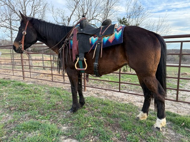 Image for Jones Livestock Auction THURSDAY APRIL 3RD -  Jones, Oklahoma