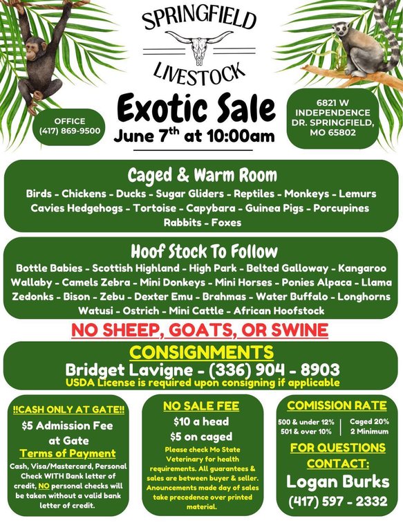 Image for Springfield Livestock Small Animal & Alternative Sale - SATURDAY, JUNE 7TH - Springfield, MO