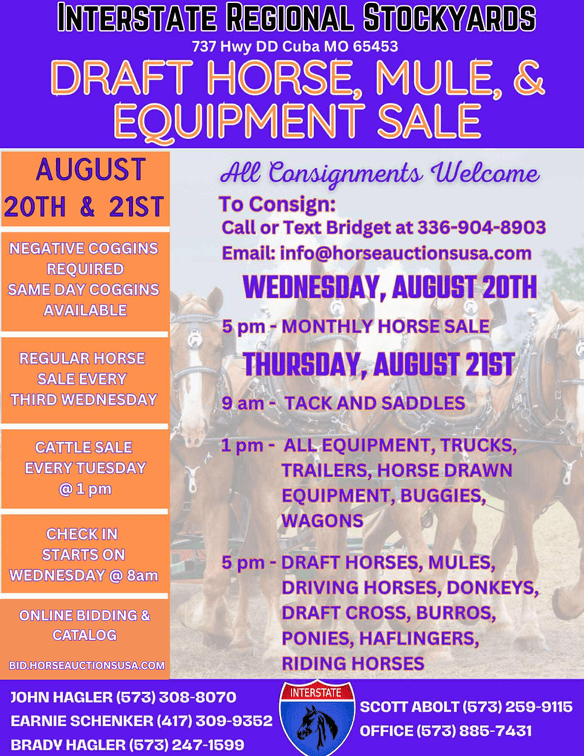 Image for Interstate Regional Stockyards TWO DAY AUGUST SPECIAL - DAY 1 - WEDNESDAY AUGUST 20TH
