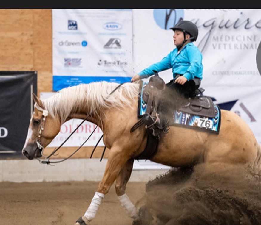 Image for Ocala Horse Sale - Saturday, September 13th - Ocala, Florida