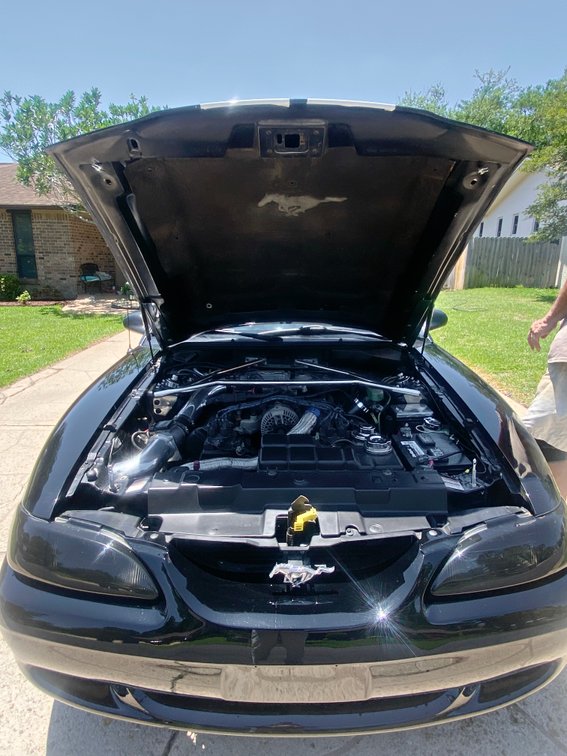 Image for 1997 Mustang GT