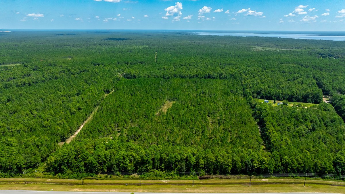 Image for 77 Acre Development Tract - Avalon Blvd. Milton FL - $495,000