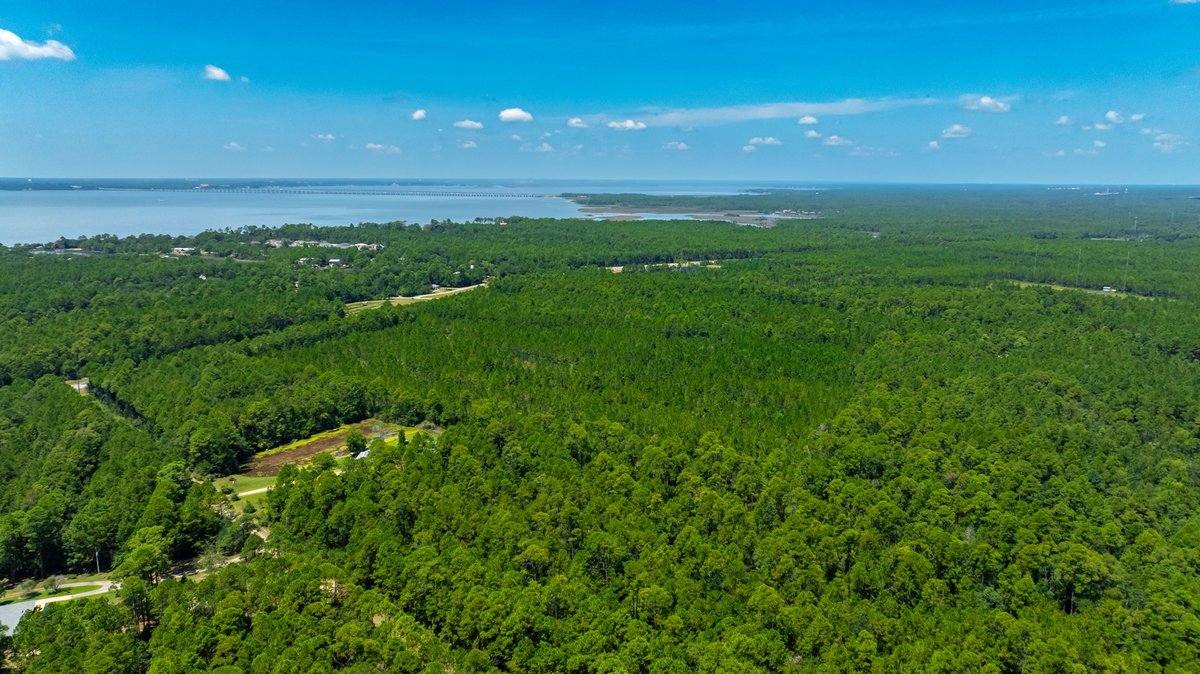 Image for 77 Acre Development Tract - Avalon Blvd. Milton FL - $495,000
