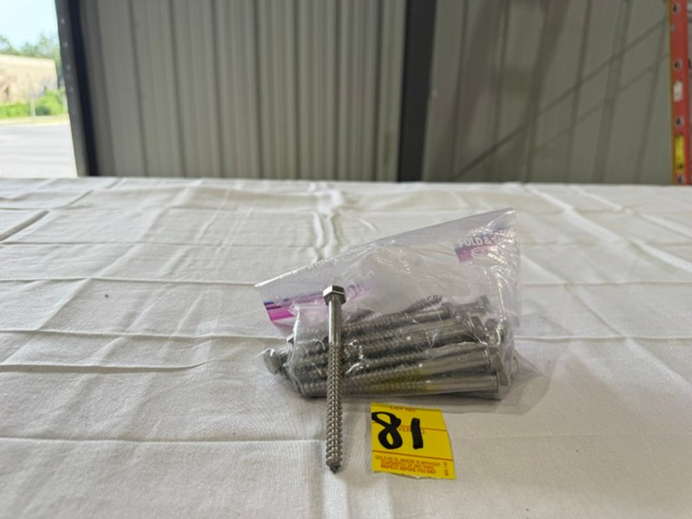 5/16" x 4" Stainless Steel Hex Head Lag Bolts, 25 Count