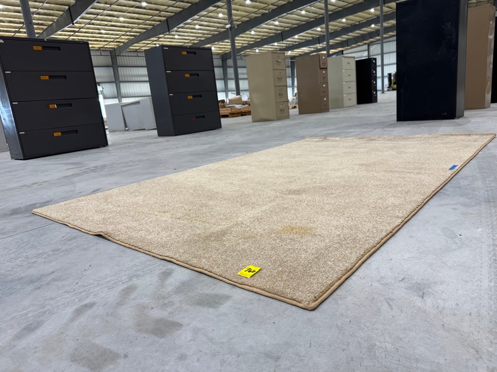 Tan Area Rug, 98" x 60"