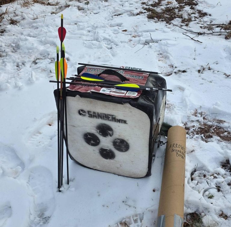 Gander Mountain Archery Target with Arrows