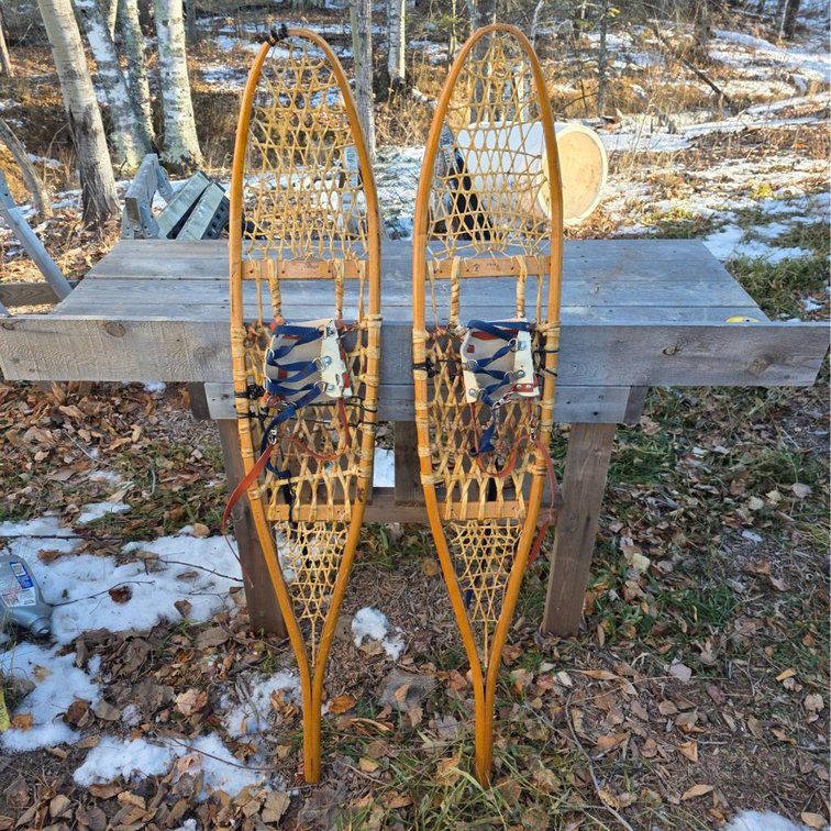 Viking Snowshoes with Harness