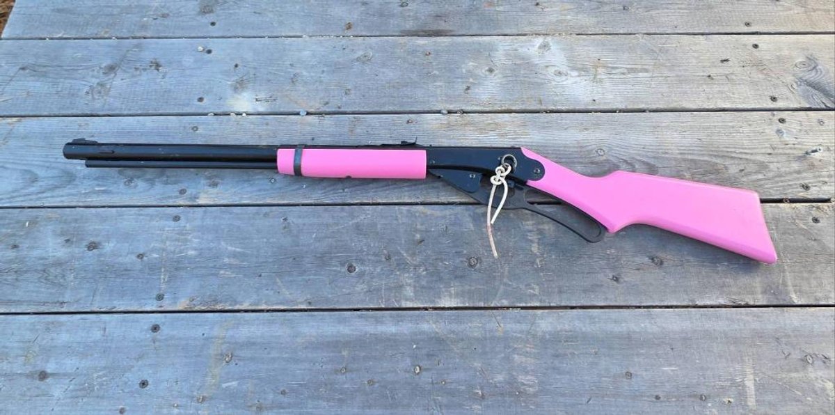 Daisy Model 1998 BB Gun with Pink Stock