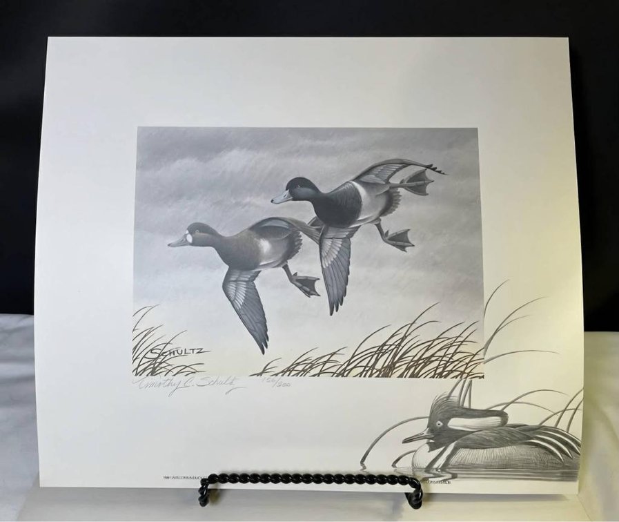 1981 ‘Lesser Scaup’ by Timothy Schultz Wisconsin Duck Stamp Print #156/300