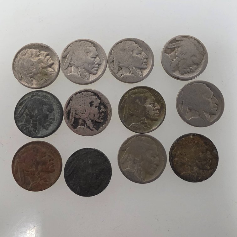 12 Buffalo Nickels with Various Dates