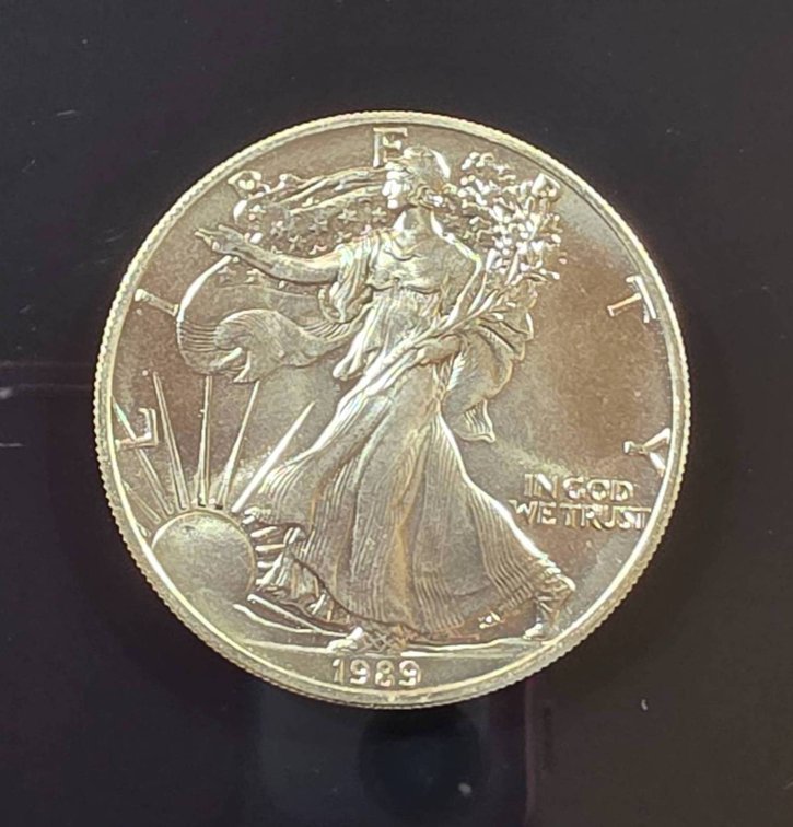 1989 American Eagle 1oz Silver Coin