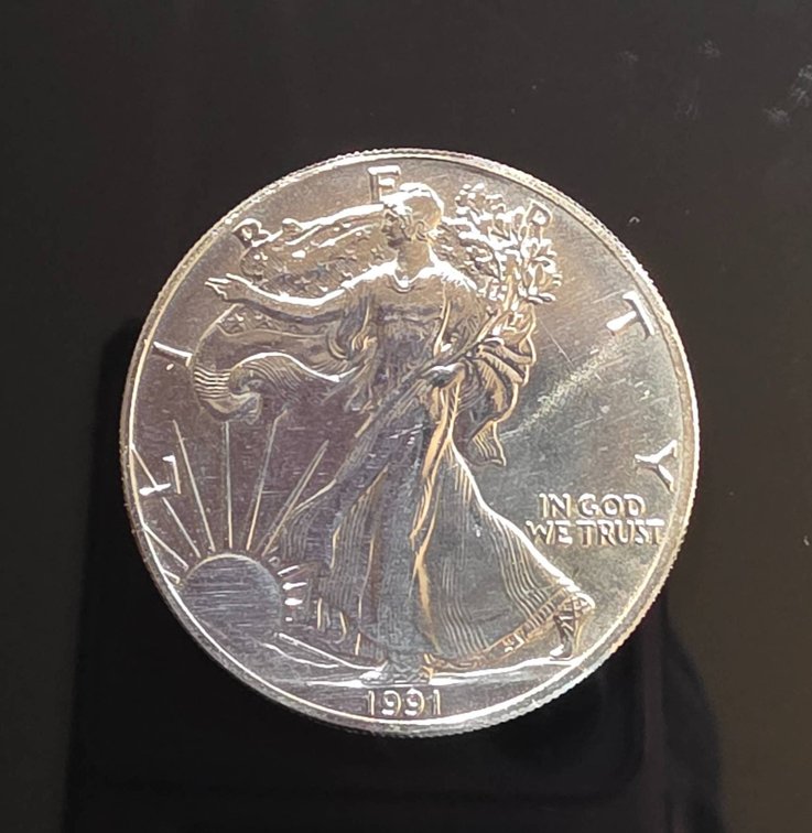 1991 American Eagle 1oz Silver Coin