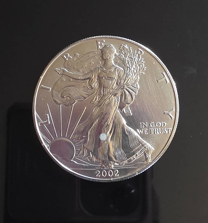 2002 American Eagle 1oz Silver Coin
