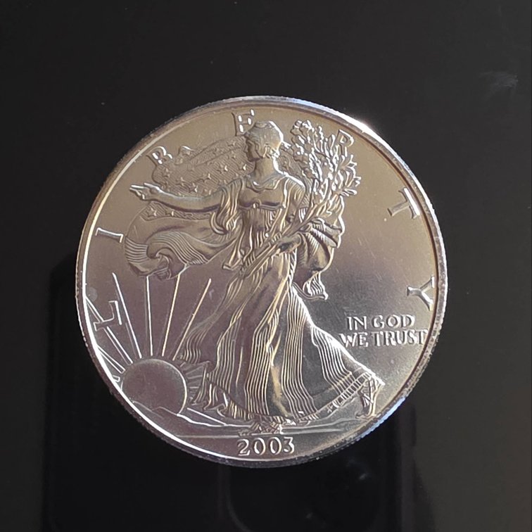 2003 American Eagle 1oz Silver Coin 