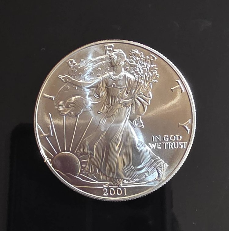 2001 American Eagle 1oz Silver Coin in Protective Case