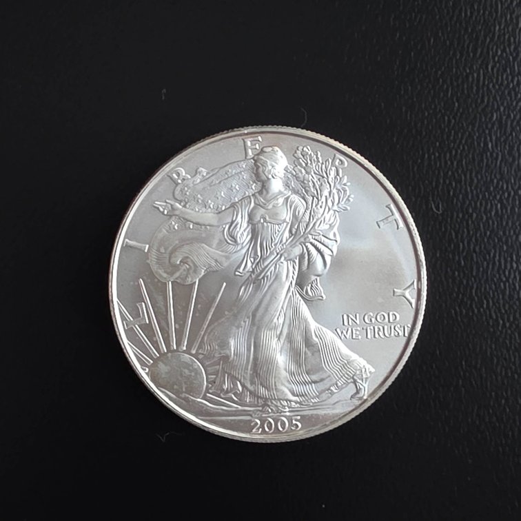 2005 American Eagle 1oz Silver Coin
