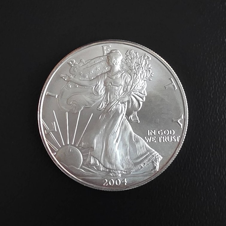 2004 American Eagle 1oz Silver Coin