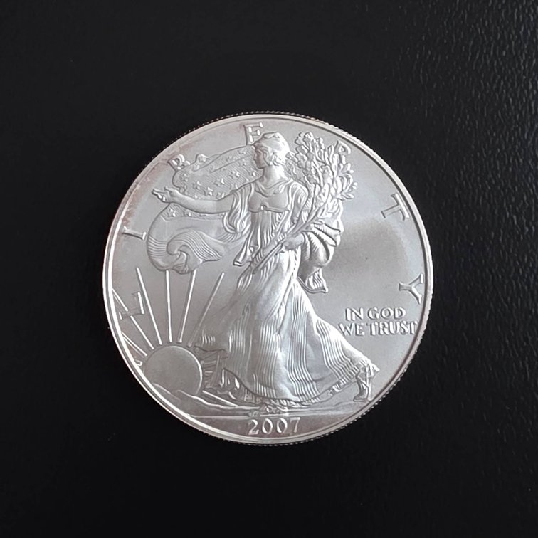 2007 American Eagle 1oz Silver Coin