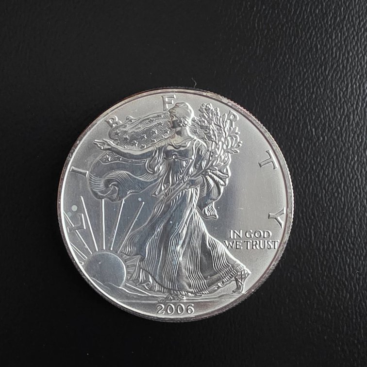 2006 American Eagle 1oz Silver Coin