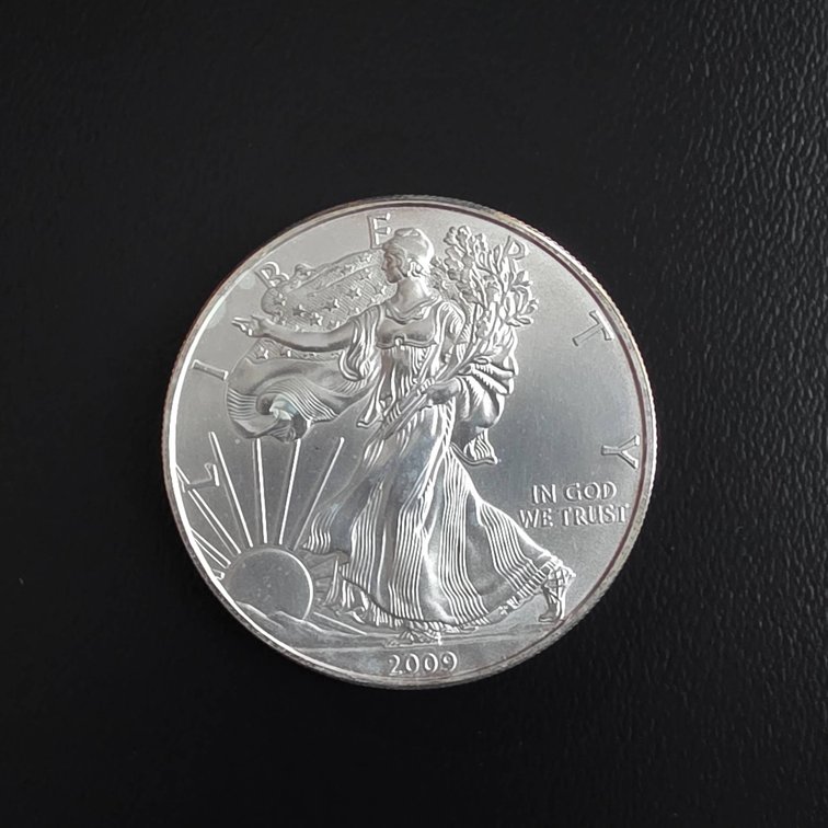 2009 American Eagle 1oz Silver Coin 